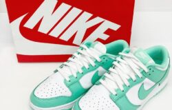 NIKE ナイキ WMNS DUNK LOW ウィメンズ ダンク ロー スニーカー DD1503ー105 をお買取りさせて頂きました★